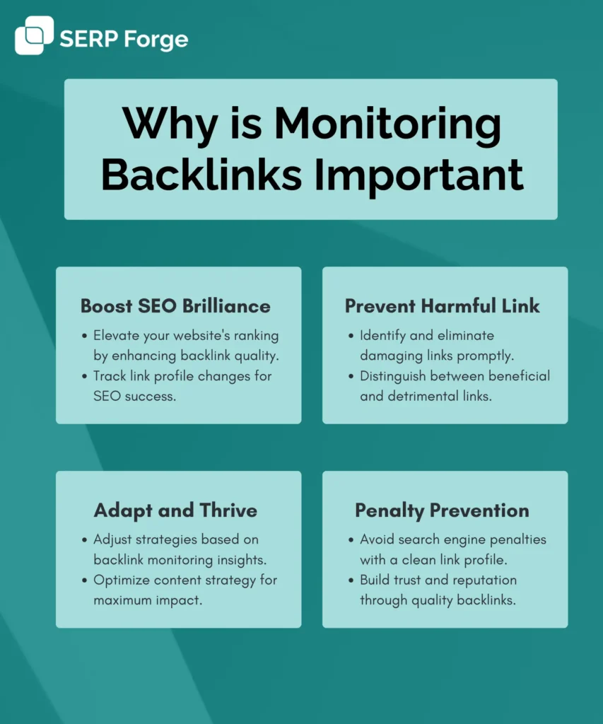 importance of backlink monitoring tools