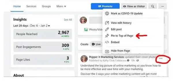 pinned posts
