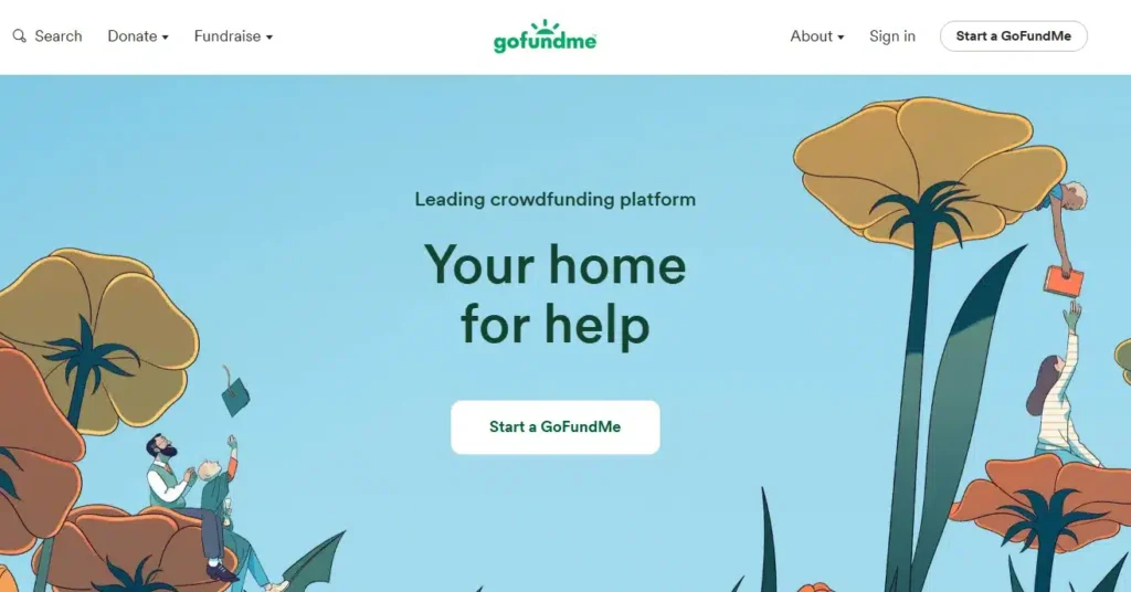 GoFundMe crowdfunding 