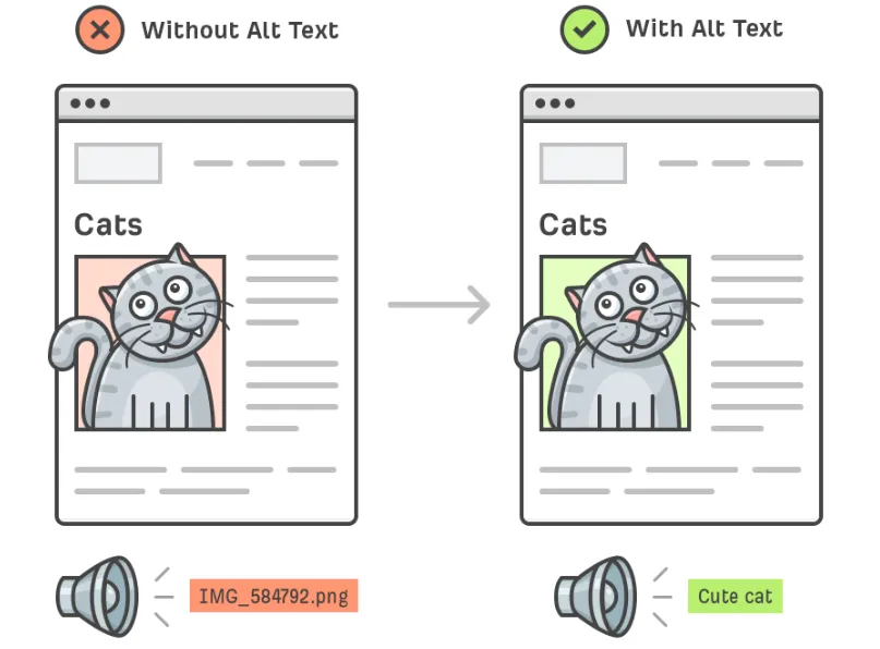 alt text