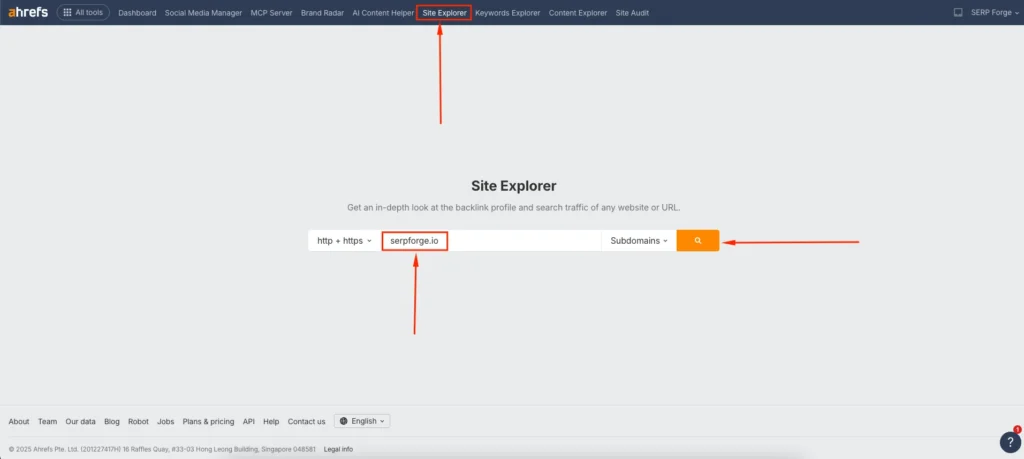 website URL and start the scan
