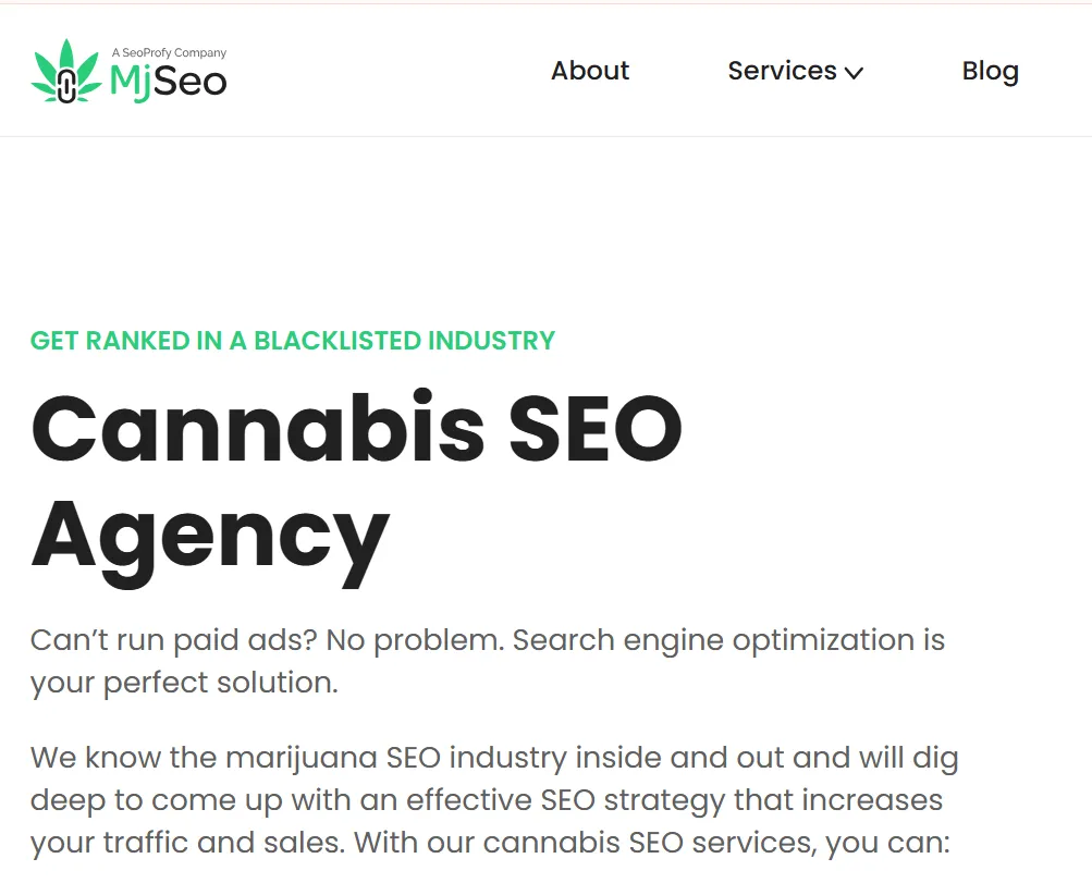 MjSeo Agency